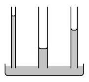 Capillary Action Diagram